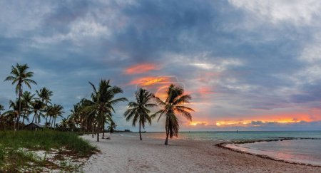 Photo for Colourful sunrise at the beach with palm trees in Key West, Florida, USA - Royalty Free Image