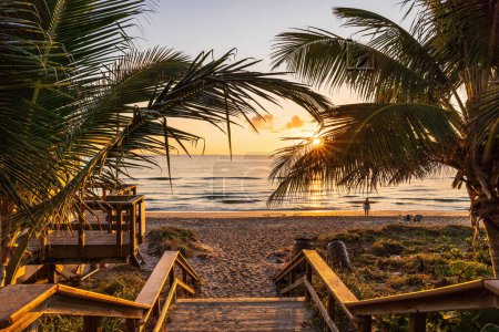 Téléchargez les photos : Le soleil levant brille à travers les palmiers sur une plage de Floride. - en image libre de droit