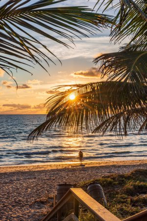 Téléchargez les photos : Le soleil levant brille à travers les palmiers sur une plage de Floride. - en image libre de droit