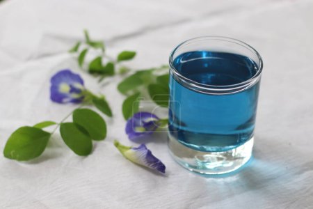 Téléchargez les photos : Butterfly pea flower tea. A herbal tea made with flowers of the Clitoria ternatea plant, native to Southeast Asia. Cobalt blue color drink have variety of health benefits. Shot along with the flower - en image libre de droit