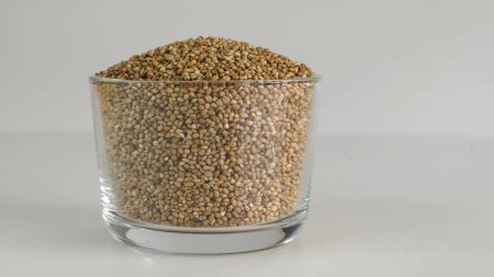 Photo for Pearl millet grains in a glass bowl filled to the brim, showcasing their pearl like natural beauty and healthy nutrition. Ideal for food and agriculture concepts. Shot on white background - Royalty Free Image