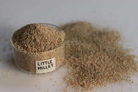 Photo for Closeup of little millet grains in a glass bowl with label on it filled to the brim, showcasing their small size and earthy color. Ideal for food, nutrition, and healthy eating visuals - Royalty Free Image