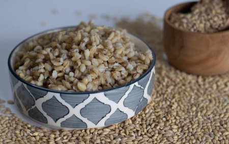 Soaked whole grain hulled barley in a ceramic bowl. Whole grain, nutritious, organic, ingredient. Perfect for healthy recipes, food bloggers and food photographers. Shot on white background