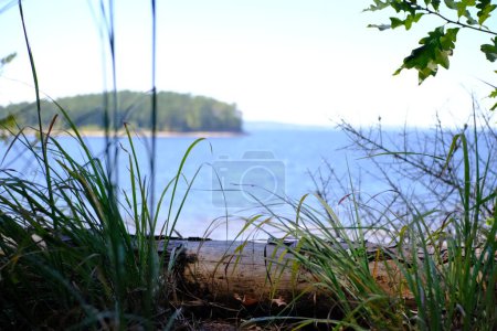 Téléchargez les photos : Photo of the reservoir from South Toledo State Park in Louisiana. - en image libre de droit
