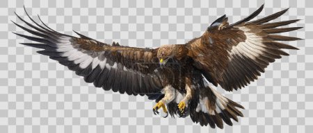 Illustration for Golden eagle landing hand draw and paint on grey white checkered background vector illustration. - Royalty Free Image