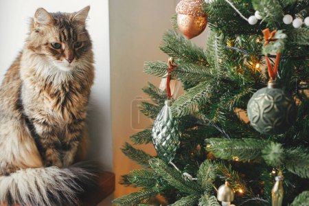Photo for Cute cat sitting at stylish christmas tree with vintage baubles. Pet and winter holidays. Adorable tabby cat sitting on wooden window sill near decorated tree in festive room. Merry Christmas! - Royalty Free Image