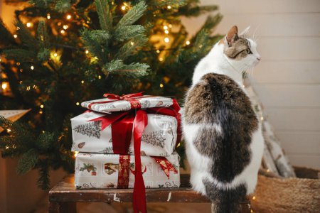 Téléchargez les photos : Chat mignon assis avec des cadeaux élégants à l'arbre de Noël avec des lumières dorées. Animaux de compagnie et vacances d'hiver. Adorable chaton curieux assis à des cadeaux enveloppés dans une salle décorée festive. Joyeux Noël! - en image libre de droit