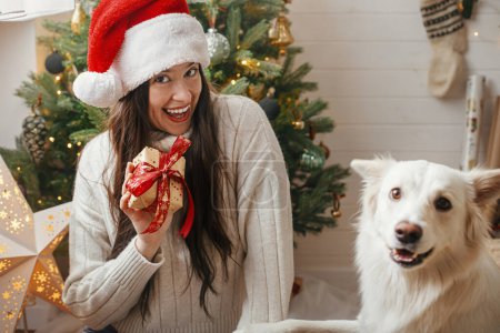 Téléchargez les photos : Joyeux Noël ! Femme heureuse dans le chapeau de Père Noël tenant cadeau de Noël avec chien mignon à l'arbre de Noël élégant. Animaux de compagnie et vacances d'hiver. Adorable chien spitz danois blanc drôle avec propriétaire dans la chambre de fête - en image libre de droit