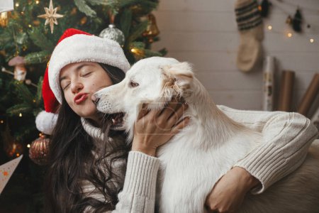 Cute dog playing with owner at stylish christmas tree. Pet and winter holidays. Happy woman in santa hat hugging funny white danish spitz dog in festive room. Merry Christmas! Poster 625147000