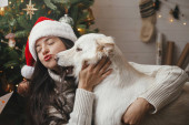 Cute dog playing with owner at stylish christmas tree. Pet and winter holidays. Happy woman in santa hat hugging funny white danish spitz dog in festive room. Merry Christmas! Poster #625147000