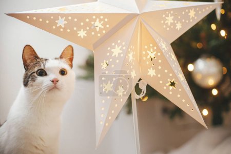 Photo for Cute cat sitting near illuminated star on background of stylish christmas tree with vintage baubles. Pet and winter holidays. Adorable funny kitty in festive decorated room. Merry Christmas! - Royalty Free Image