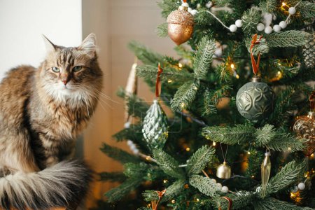 Foto de Elegante árbol de Navidad con adornos vintage y lindo gato. Vacaciones de mascotas e invierno. Adorable gato tabby sentado en el alféizar de la ventana de madera cerca del árbol decorado en la habitación festiva. Feliz Navidad.! - Imagen libre de derechos