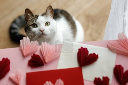 Téléchargez les photos : Cute cat looking at red and pink hearts on wooden table. Valentine holiday preparations with adorable kitty helper. Happy Valentine's day! Pet and love concept - en image libre de droit