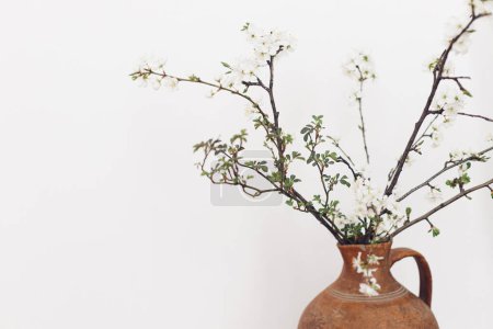 Foto de Blooming cherry branches against white wall. Spring flowers in vintage vase. Simple countryside living, home rustic decor. Space for text. Hello spring - Imagen libre de derechos
