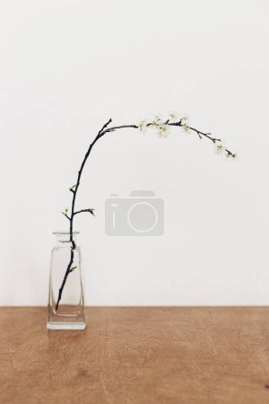 Téléchargez les photos : Blooming cherry branch on rustic wooden background against white wall. Spring flowers in minimal glass vase still life. Simple countryside living, home decor. Space for text - en image libre de droit