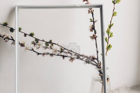Foto de Cherry blooming branch in vase behind glass with water drops. Creative abstract image of spring flowers. Hello spring. Simple aesthetic wallpaper, wet rainy flowers. Floral rustic still life - Imagen libre de derechos
