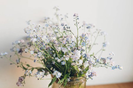 Photo for Beautiful little blue flowers in vase in warm sunlight against white wal. Delicate myosotis petals, forget me not spring flowers. Atmospheric evening moment. Simple countryside living - Royalty Free Image