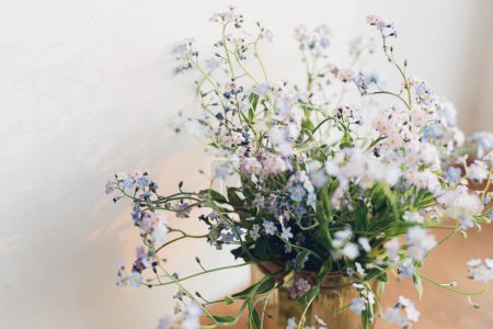 Photo for Beautiful little blue flowers in vase in warm sunlight against white wall. Delicate myosotis petals, forget me not spring flowers. Atmospheric evening moment. Simple countryside living - Royalty Free Image