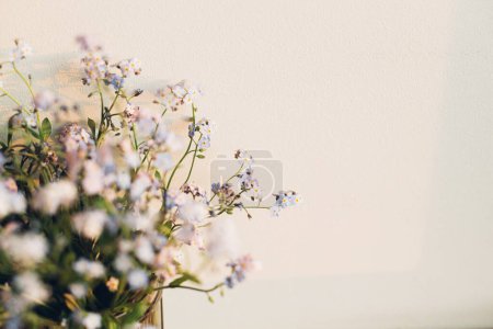 Photo for Beautiful little blue flowers in vase in warm evening sunlight against white wall. Delicate myosotis petals, forget me not spring flowers. Simple countryside living, home decor - Royalty Free Image