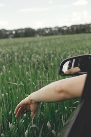 Téléchargez les photos : Hand in window of a car on background of wheat field. Man sticking his hand out of a car window in green fields. Enjoying summer vacation in countryside. Road trip - en image libre de droit