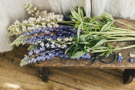 Téléchargez les photos : Beautiful lupine flowers in rustic room, close up. Summer vibes, simple home decor in countryside. Lupin bouquet and scissors on wooden rural chair, gathering wildflowers - en image libre de droit
