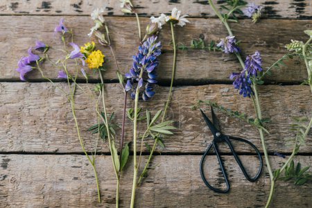 Photo for Beautiful wildflowers and scissors flat lay on rustic wooden background. Gathering and arranging flowers at home in countryside. Colorful summer wild flowers bouquet composition - Royalty Free Image
