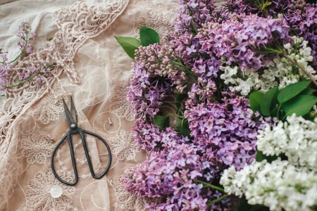 Téléchargez les photos : Beautiful lilac flowers, scissors and petals on rustic stylish fabric flat lay. Spring floral still life on rustic background. Happy mothers day - en image libre de droit