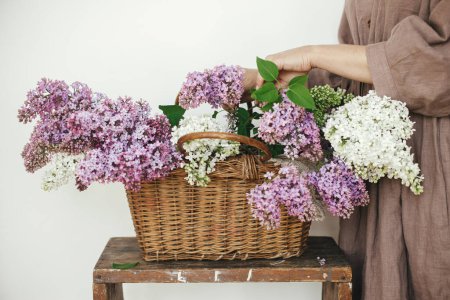 Photo for Stylish woman hands holding beautiful lilac flowers in wicker basket in rustic room. Female in linen dress arranging lilac flowers, cropped view. Authentic  moody moment. Rustic wedding - Royalty Free Image