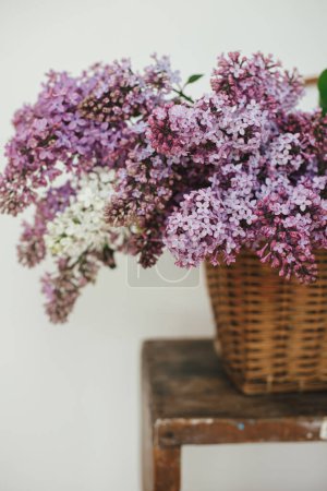 Téléchargez les photos : Beautiful lilac flowers in wicker basket on wooden chair. Purple and white lilacs petals close up, floral composition in home. Spring rustic still life on rural background. Mothers day or wedding - en image libre de droit
