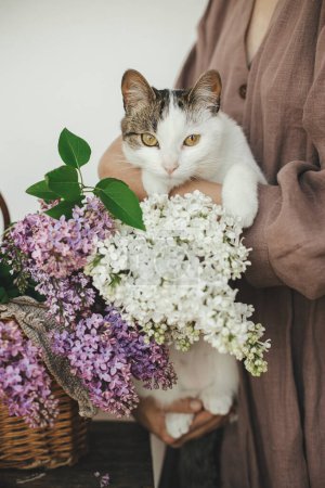 Foto de Mujer sosteniendo lindo gatito en hermosa lila flores en canasta de mimbre. Adorable gato curioso en las manos del amo a las lilas sobre el fondo rústico. Flores de primavera y mascotas en el hogar rural - Imagen libre de derechos