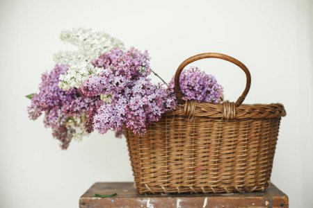 Photo for Beautiful lilac flowers in wicker basket on wooden chair. Spring rustic still life on rural background. Purple and white lilacs composition in home. Happy mothers day - Royalty Free Image