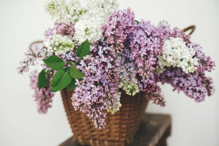 Téléchargez les photos : Beautiful lilac flowers in wicker basket on wooden chair. Purple and white lilacs petals close up, floral composition in home. Spring rustic still life on rural background. Mothers day or wedding - en image libre de droit