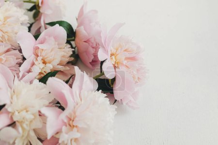 Foto de Beautiful peonies  on rustic white wood. Stylish floral greeting card with space for text. Gentle pastel pink peony flowers border on white table, moody banner - Imagen libre de derechos