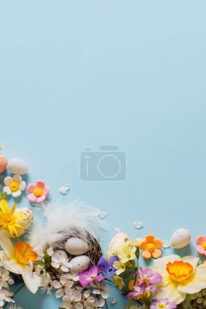 Téléchargez les photos : Joyeux Pâques ! Les œufs de Pâques dans le nid, les fleurs colorées et les pétales de cerisier en fleurs à plat reposent sur un fond bleu. Modèle festif élégant avec espace pour le texte. Carte de voeux ou bannière - en image libre de droit