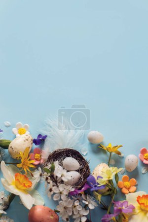 Foto de Stylish Easter eggs in nest, colorful flowers and cherry blossoms flat lay on blue background with copy space. Happy Easter! Greeting card template. Modern holiday banner. Festive composition - Imagen libre de derechos