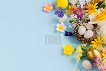 Photo for Happy Easter! Easter eggs in nest, colorful flowers and blooming cherry petals flat lay on blue background. Stylish festive template with space for text. Greeting card or banner - Royalty Free Image