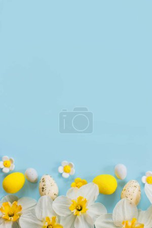 Téléchargez les photos : Des œufs de Pâques élégants et des fleurs jaunes de jonquilles à plat reposent sur un fond bleu avec un espace de copie. Joyeux Pâques ! Modèle de carte de vœux. Bannière de vacances moderne. Composition festive - en image libre de droit