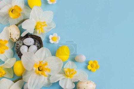 Téléchargez les photos : Happy Easter! Easter eggs in nest and daffodils flowers flat lay on blue background. Stylish festive template with space for text. Greeting card or banner - en image libre de droit