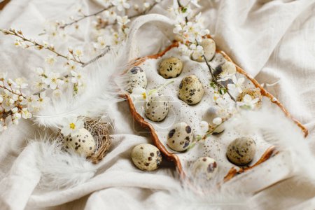 Téléchargez les photos : Happy Easter! Stylish easter eggs and blooming spring flowers on rustic table. Natural quail eggs in tray, feathers and cherry blossoms linen fabric. Rustic easter still life - en image libre de droit