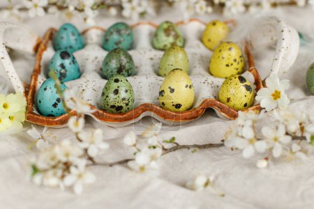 Foto de Happy Easter! Stylish easter eggs and blooming spring flowers on rustic table. Natural painted quail eggs in tray, feathers and cherry blossoms linen fabric. Rustic easter still life - Imagen libre de derechos