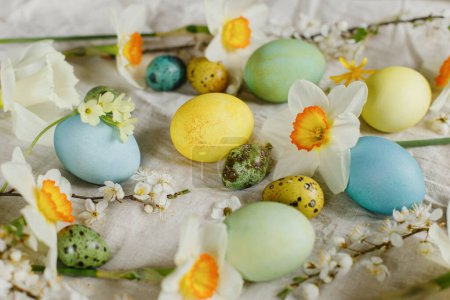 Foto de Happy Easter! Stylish easter eggs and blooming spring flowers on rustic table. Rustic easter still life. Natural painted eggs and daffodils bloom on linen fabric - Imagen libre de derechos