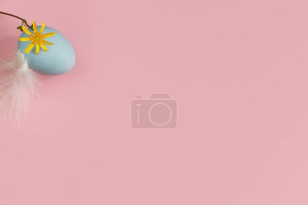 Foto de ¡Feliz Pascua! Huevo de Pascua y flor sobre fondo rosa plana poner. Mínima Pascua naturaleza muerta. Banner de primavera moderno o tarjeta de felicitación, espacio para el texto. Huevo azul natural, pluma y flor - Imagen libre de derechos