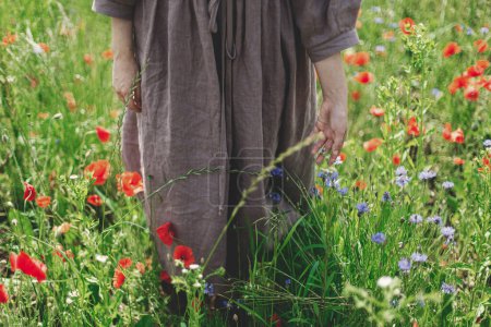 Téléchargez les photos : Close up of woman hand gathering poppy and cornflowers in sunny field. Cottagecore aesthetics. Young female in rustic dress holding wildflowers meadow in summer countryside, slow life - en image libre de droit