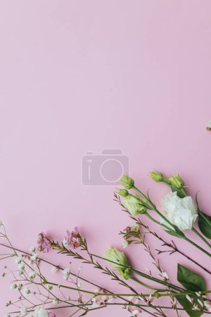 Téléchargez les photos : Beautiful spring flowers on pink background with space for text. Stylish floral flat lay with eustoma, gypsophila and chamelaucium. Greeting card or banner. Happy womens day and mothers day - en image libre de droit