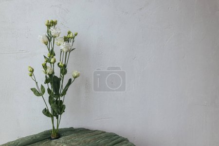 Foto de Stylish white flowers on kenzan on green fabric background against rustic wall. Modern floral still life. Spring eustoma bouquet. Space for text - Imagen libre de derechos