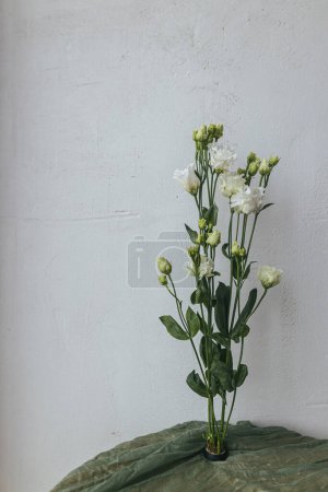 Foto de Elegantes flores blancas en kenzan sobre fondo de tela verde contra pared rústica. Bodegón floral moderno. Ramo de eustoma de primavera. Espacio para texto - Imagen libre de derechos