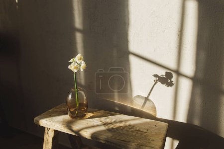 Téléchargez les photos : Belles jonquilles en vase sur banc rustique en bois sur fond de pièce moderne ensoleillée. Jonquille nuptiale en gros plan. Élégant décor de ferme à la maison. Fleurs de printemps atmosphériques - en image libre de droit