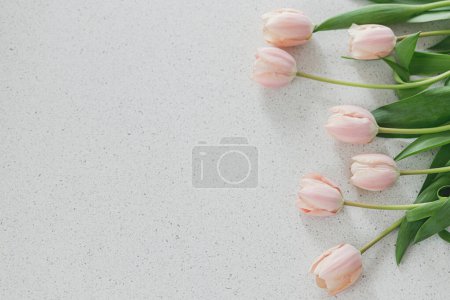 Photo for Beautiful tulips on modern table. Stylish floral flat lay with copy space. Happy Easter! Happy mothers day and womens day. Pink tulips bouquet on stone texture background - Royalty Free Image