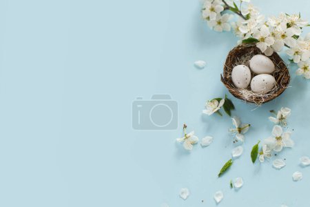 Photo for Happy Easter! Easter eggs in nest and blooming cherry petals flat lay on blue background. Stylish festive template with space for text. Greeting card or banner - Royalty Free Image