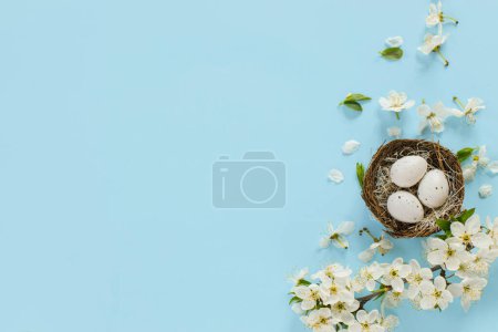 Téléchargez les photos : Happy Easter! Easter eggs in nest and blooming cherry petals flat lay on blue background. Stylish festive template with space for text. Greeting card or banner - en image libre de droit